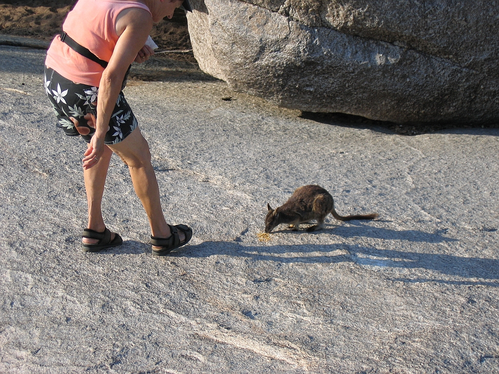 CairnsTC139 Granite Gorge.jpg